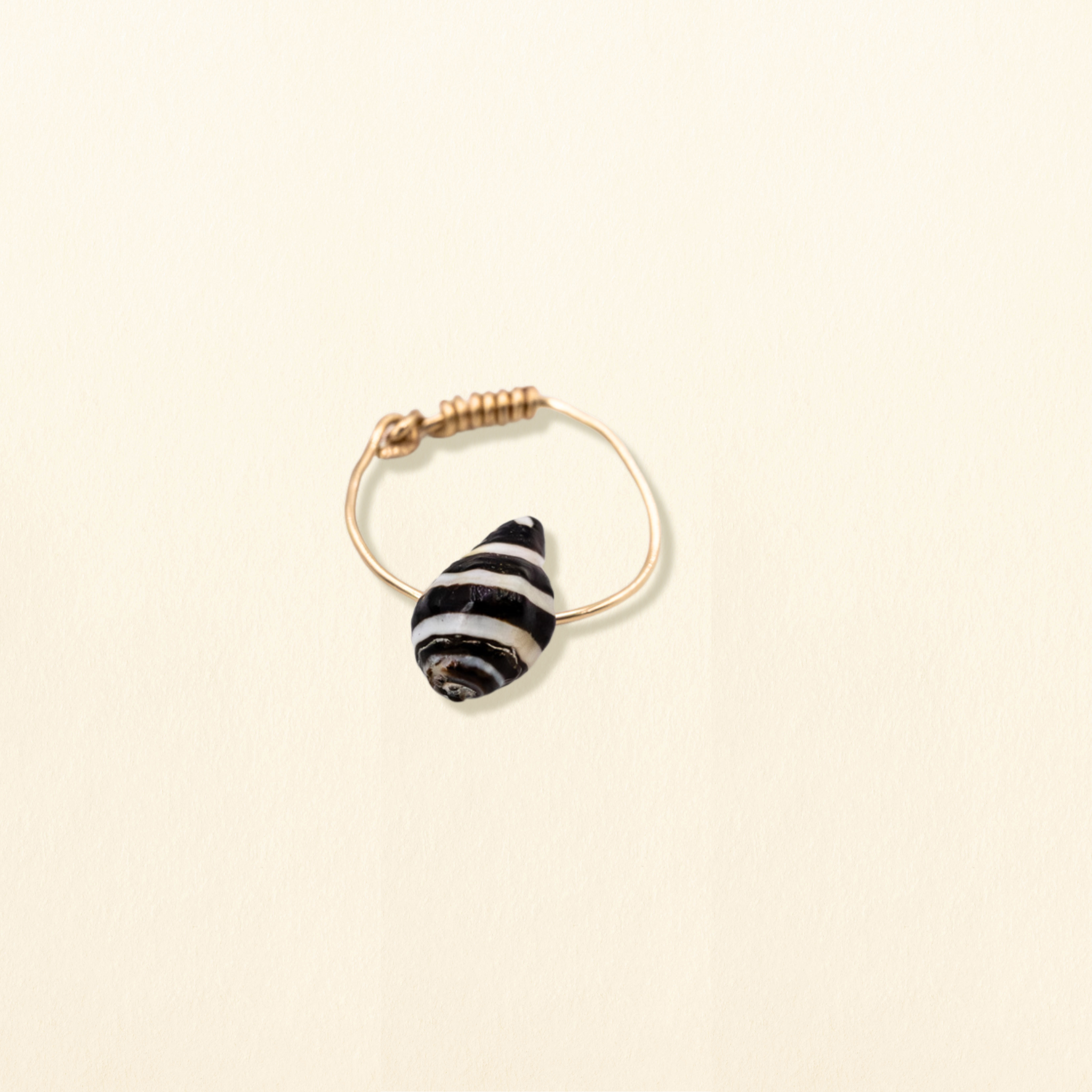 Muschelring - Zebra